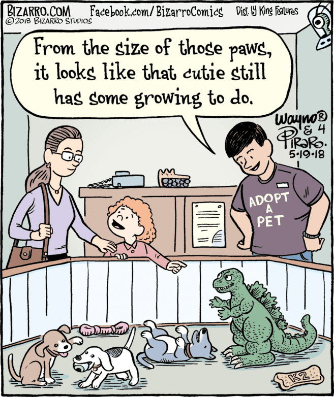 Sharing OCR: BIZARRO.COM © 2018 BIZARRO STUDIOS Facebook.com/BizarroComies Dist 9 King Faures From the size of those pawsit looks like that cutie still has some growing to do. Wayno® '& 4 PiRaRo 5.19.18 ADOPT A PET K2: BIZARRO.COM © 2018 BIZARRO STUDIOS Facebook.com/BizarroComies Dist 9 King Faures From the size of those pawsit looks like that cutie still has some growing to do. Wayno® '& 4 PiRaRo 5.19.18 ADOPT A PET K2: