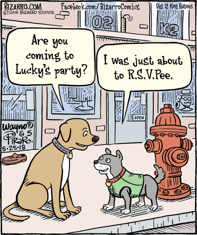 Cartoon OCR: BIZARRO.COM © 2018 BIZARRO STUDIOS Facebook.com/BizarroComics Dist 9 King Features K2 Are you coming to Lucky's party? I was just about to R.S.V.Pee. OPEN Wayno PRARO 5.25-18 BIZARRO.COM © 2018 BIZARRO STUDIOS Facebook.com/BizarroComics Dist 9 King Features K2 Are you coming to Lucky's party? I was just about to R.S.V.Pee. OPEN Wayno PRARO 5.25-18