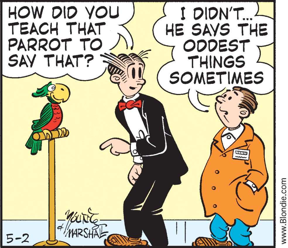 Comic book OCR: HOW DID VOU TEACH THAT PARROT TO SAV THAT? I DIDN'T. HE SAYS THE ODDEST THINGS SOMETIMES ... hARSHRE 5-2 www.Blondie.com HOW DID VOU TEACH THAT PARROT TO SAV THAT? I DIDN'T. HE SAYS THE ODDEST THINGS SOMETIMES ... hARSHRE 5-2 www.Blondie.com