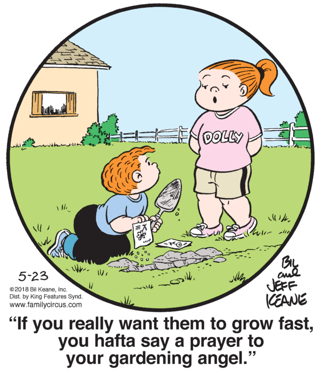 Font OCR: ENDOLLY BIL Bry cul JEFF 5-23 ©2018 Bil Keaneinc. Dist. by King Features Synd. www.familycircus.com CEANE "If you really want them to grow fastyou hafta say a prayer to your gardening angel. ENDOLLY BIL Bry cul JEFF 5-23 ©2018 Bil Keaneinc. Dist. by King Features Synd. www.familycircus.com CEANE "If you really want them to grow fastyou hafta say a prayer to your gardening angel.