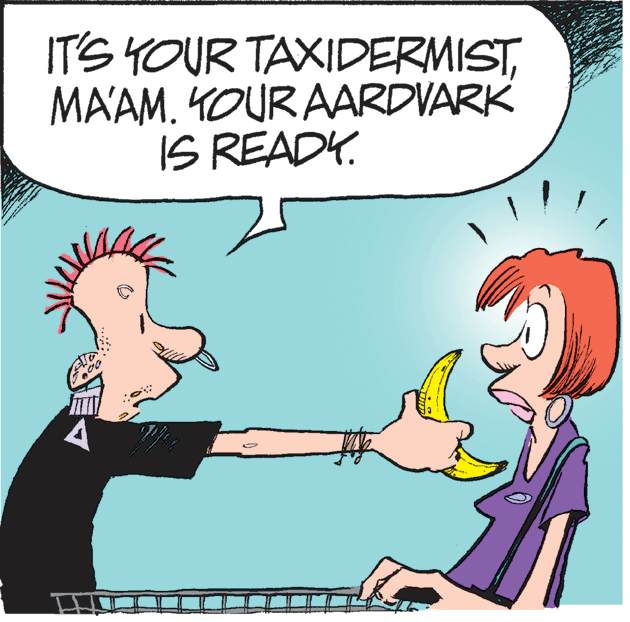 Green OCR: IT'S YOUR TAXIDERMISTMA'AM. YOUR AARDVARK IS READY. IT'S YOUR TAXIDERMISTMA'AM. YOUR AARDVARK IS READY.