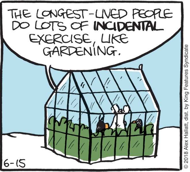 Drawing OCR: THE LONGEST-UVED PEOPLE DO LOTS OF INCIDENTAL EXERCISELIKE GARDENING. 6-15 © 2018 Alex Hallattdist. by King Features Syndicate THE LONGEST-UVED PEOPLE DO LOTS OF INCIDENTAL EXERCISELIKE GARDENING. 6-15 © 2018 Alex Hallattdist. by King Features Syndicate