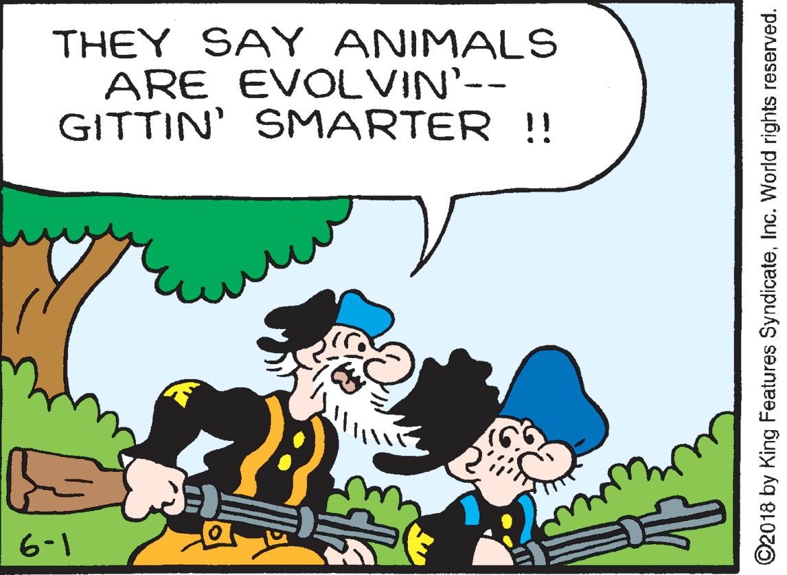 Illustration OCR: THEY SAY ANIMALS ARE EVOLVIN'-- GITTIN' SMARTER !! 6-1 ©2018 by King Features SyndicateInc. World rights reserved. THEY SAY ANIMALS ARE EVOLVIN'-- GITTIN' SMARTER !! 6-1 ©2018 by King Features SyndicateInc. World rights reserved.