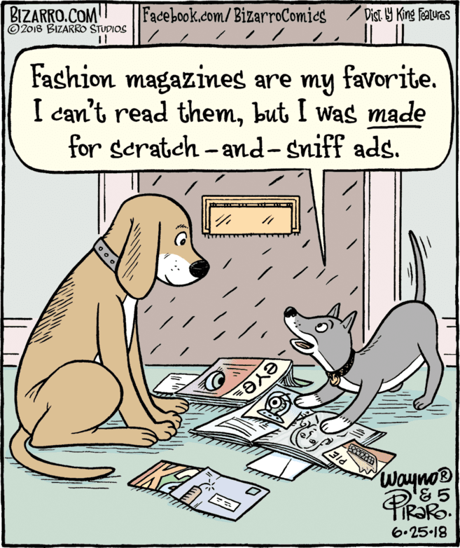 Companion dog OCR: BIZARRO.COM © 2018 BIZARRO STUDIOS Facebook.com/BizarroComics / Dist 9 King Faures Fashion magazines are my favorite. I can't read thembut I was made for seratch -and-sniff ads. KER PIE Wayno® TIR?RO. 6.25.18 BIZARRO.COM © 2018 BIZARRO STUDIOS Facebook.com/BizarroComics / Dist 9 King Faures Fashion magazines are my favorite. I can't read thembut I was made for seratch -and-sniff ads. KER PIE Wayno® TIR?RO. 6.25.18