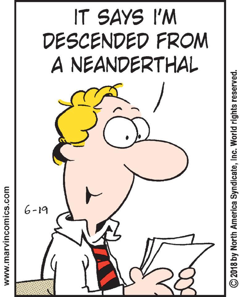 Graphics OCR: IT SAYS I'M DESCENDED FROM A NEANDERTHAL 6-19 www.marvincomics.com O 2018 by North America SyndicateInc. World rights reserved. IT SAYS I'M DESCENDED FROM A NEANDERTHAL 6-19 www.marvincomics.com O 2018 by North America SyndicateInc. World rights reserved.