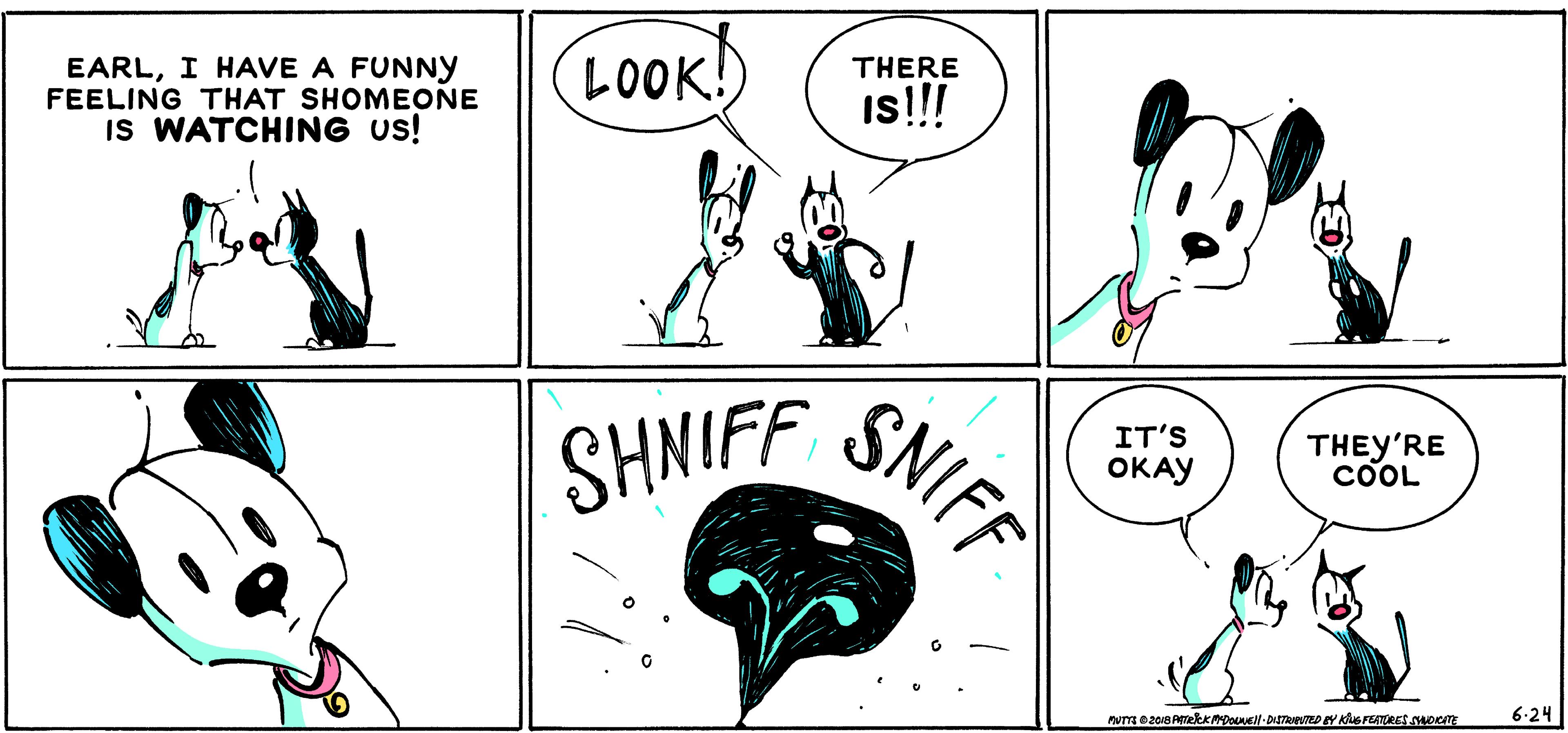 Cartoon OCR: LOOK! THERE EARLI HAVE A FUNNY FEELING THAT SHOMEONE IS WATCHING us! Is!!! SNIFF SHNIFF THEY'RE COOL IT'S OKAY 6.24 LOOK! THERE EARLI HAVE A FUNNY FEELING THAT SHOMEONE IS WATCHING us! Is!!! SNIFF SHNIFF THEY'RE COOL IT'S OKAY 6.24