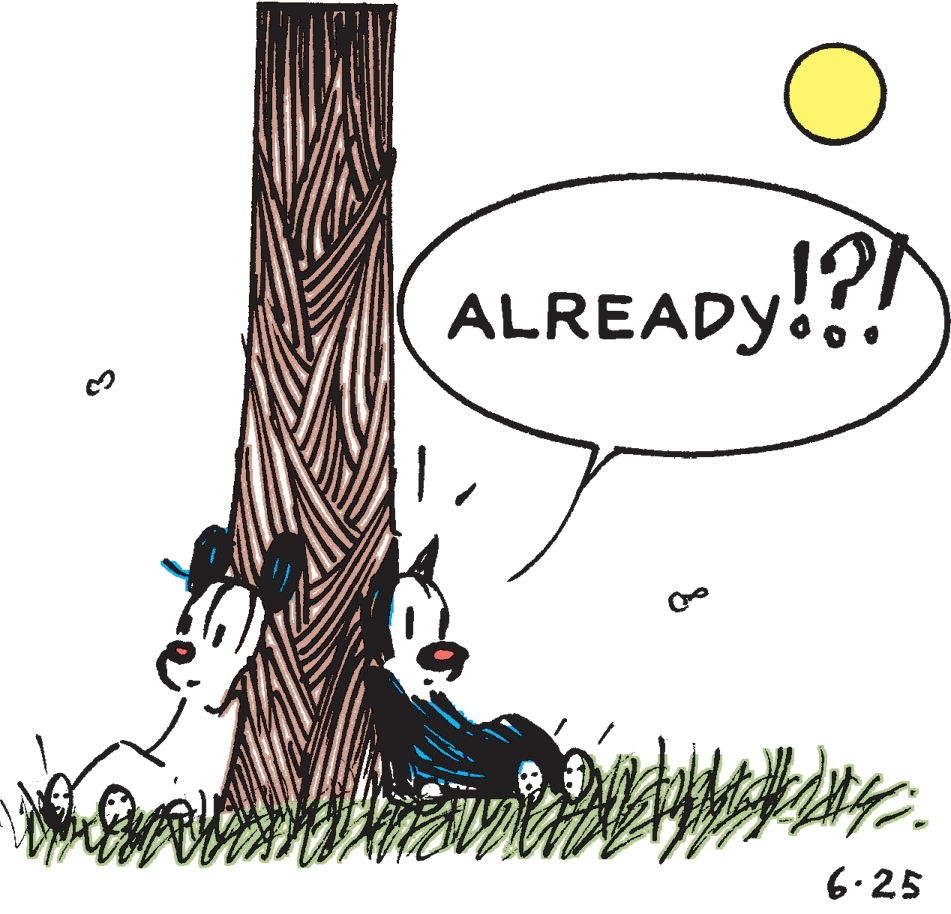Trunk OCR: ALREADY.. ADy!?! 6.25 ALREADY.. ADy!?! 6.25
