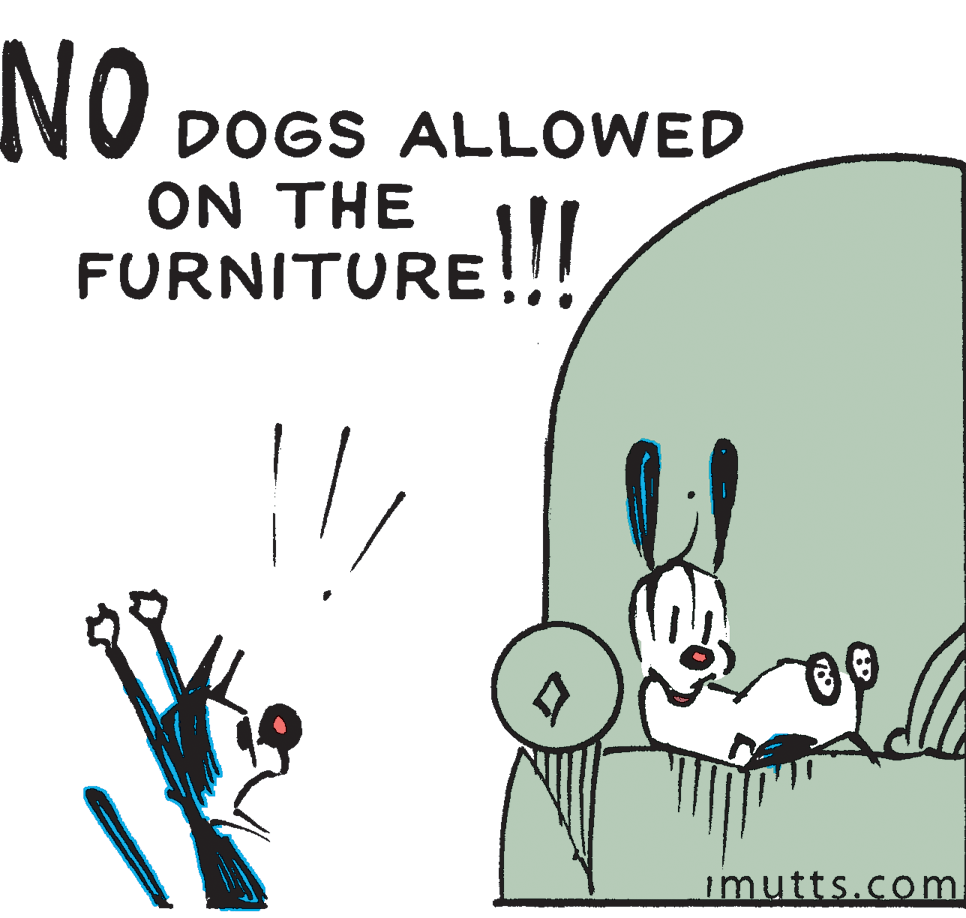 Finger OCR: NO O DOGS ALLOWED ON THE FURNITURE!!! imutts.com NO O DOGS ALLOWED ON THE FURNITURE!!! imutts.com