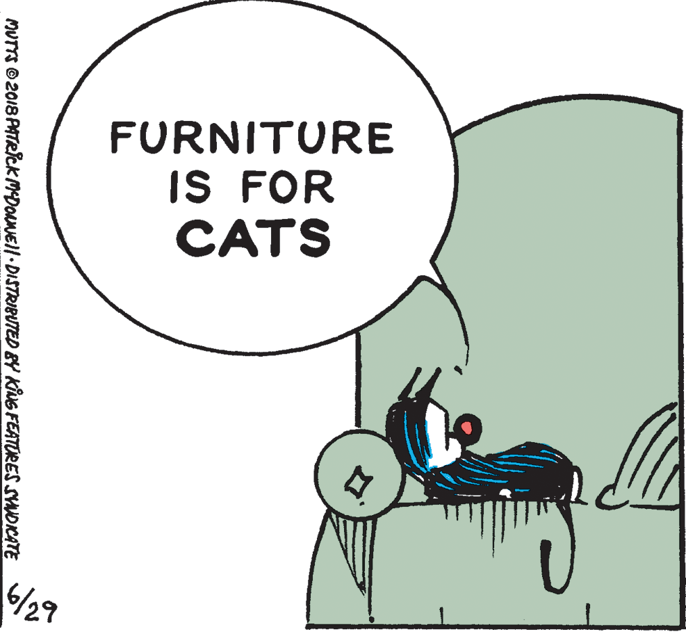 Font OCR: FURNITURE IS FOR CATS 6/29 MUTTS © 2018 PATR?ck MDOANEII DISTRIBUTED BY KING FEATURES SYNDICATE FURNITURE IS FOR CATS 6/29 MUTTS © 2018 PATR?ck MDOANEII DISTRIBUTED BY KING FEATURES SYNDICATE