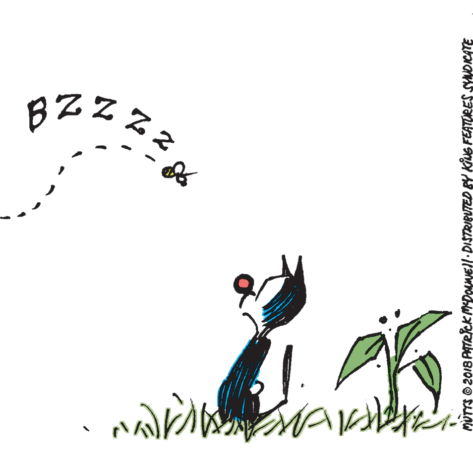Drawing OCR: BZZZ? MÜTTS O 2018 PATecKMDOMEll DISTRIBUTED BY KING FEATURES SNDICATE BZZZ? MÜTTS O 2018 PATecKMDOMEll DISTRIBUTED BY KING FEATURES SNDICATE