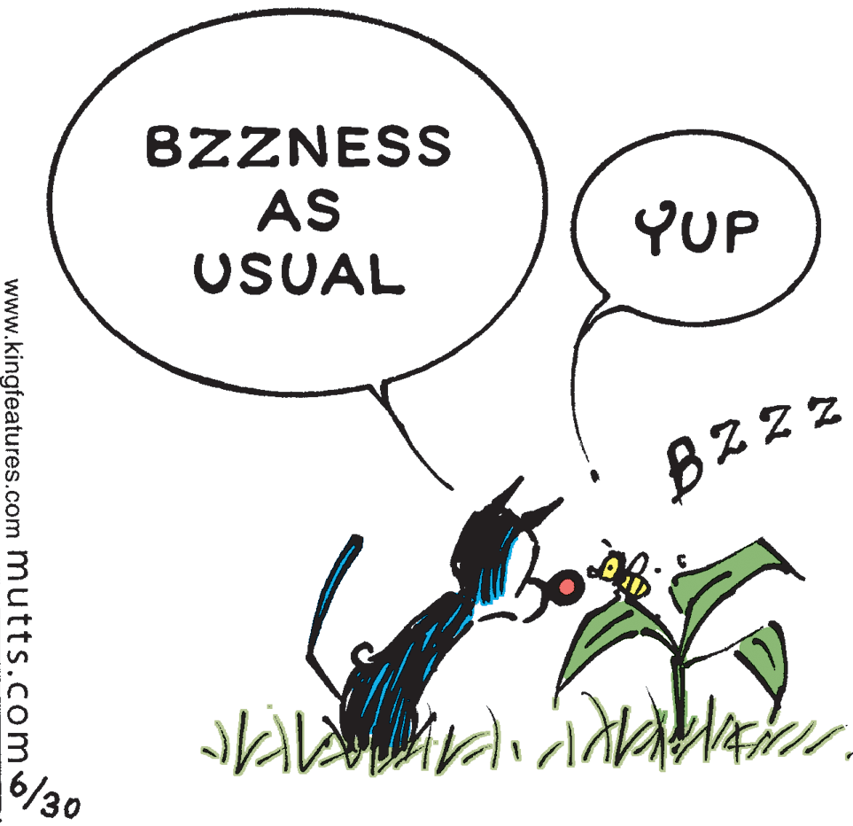 Art OCR: BZZNESS AS USUAL YUP 6/30 www.kingfeatures.com mutts.como BZZNESS AS USUAL YUP 6/30 www.kingfeatures.com mutts.como