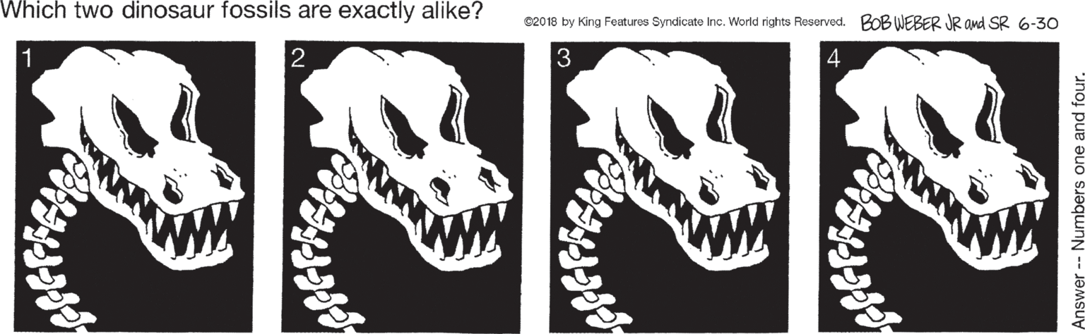 Skull OCR: Which two dinosaur fossils are exactly alike? ©2018 by King Features Syndicate Inc. World rights Reserved. BOB WEBER JR and SR 6-30 2 3 4 Which two dinosaur fossils are exactly alike? ©2018 by King Features Syndicate Inc. World rights Reserved. BOB WEBER JR and SR 6-30 2 3 4