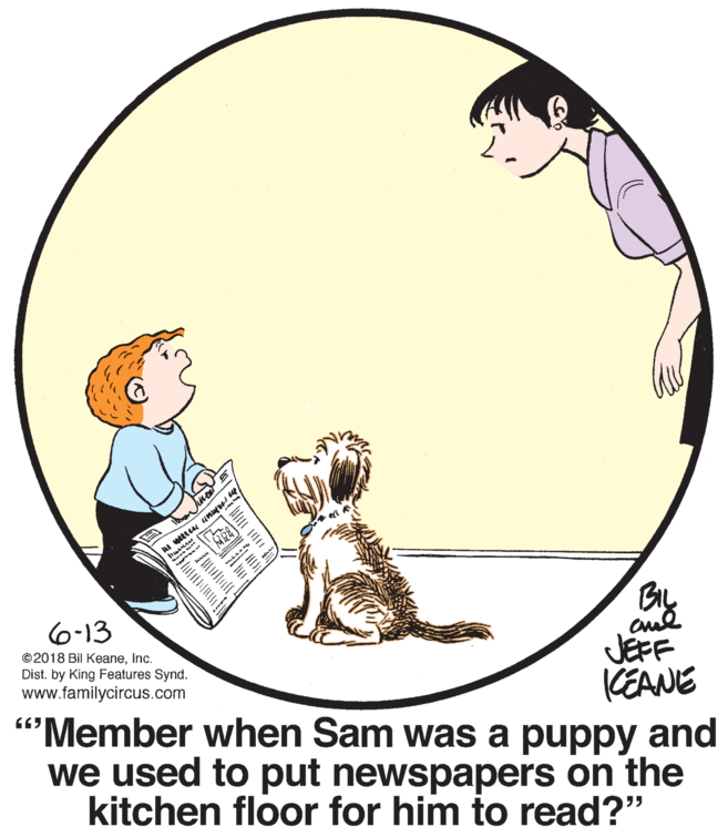 Fictional character OCR: AI u un 6-13 ©2018 Bil KeaneInc. Dist. by King Features Synd. www.familycircus.com JEFF KEANE "Member when Sam was a puppy and we used to put newspapers on the kitchen floor for him to read?" AI u un 6-13 ©2018 Bil KeaneInc. Dist. by King Features Synd. www.familycircus.com JEFF KEANE "Member when Sam was a puppy and we used to put newspapers on the kitchen floor for him to read?"