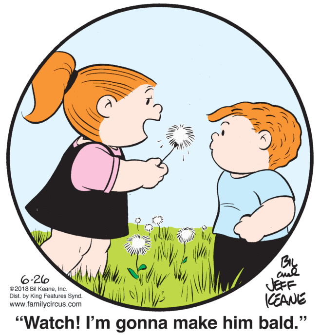 Happy OCR: By JEFF (EANE "Watch! I'm gonna make him bald." 6-26 ©2018 Bil KeaneInc. Dist. by King Features Synd. www.familycircus.com By JEFF (EANE "Watch! I'm gonna make him bald." 6-26 ©2018 Bil KeaneInc. Dist. by King Features Synd. www.familycircus.com