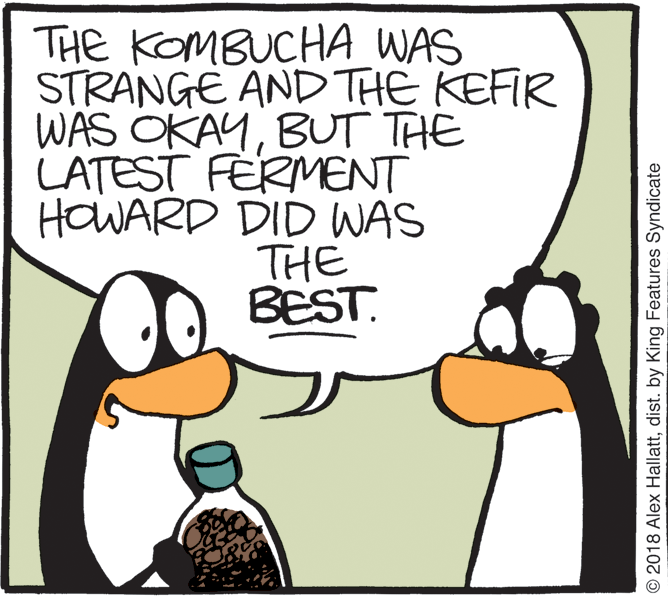 Poster OCR: THE KOMBUCHA WAS STRANGE AND THE KEFIR WAS OKAYBUT THE LATEST FERMENT HOWARD DID WAS THE BEST. © 2018 Alex Hallattdist. by King Features Syndicate THE KOMBUCHA WAS STRANGE AND THE KEFIR WAS OKAYBUT THE LATEST FERMENT HOWARD DID WAS THE BEST. © 2018 Alex Hallattdist. by King Features Syndicate
