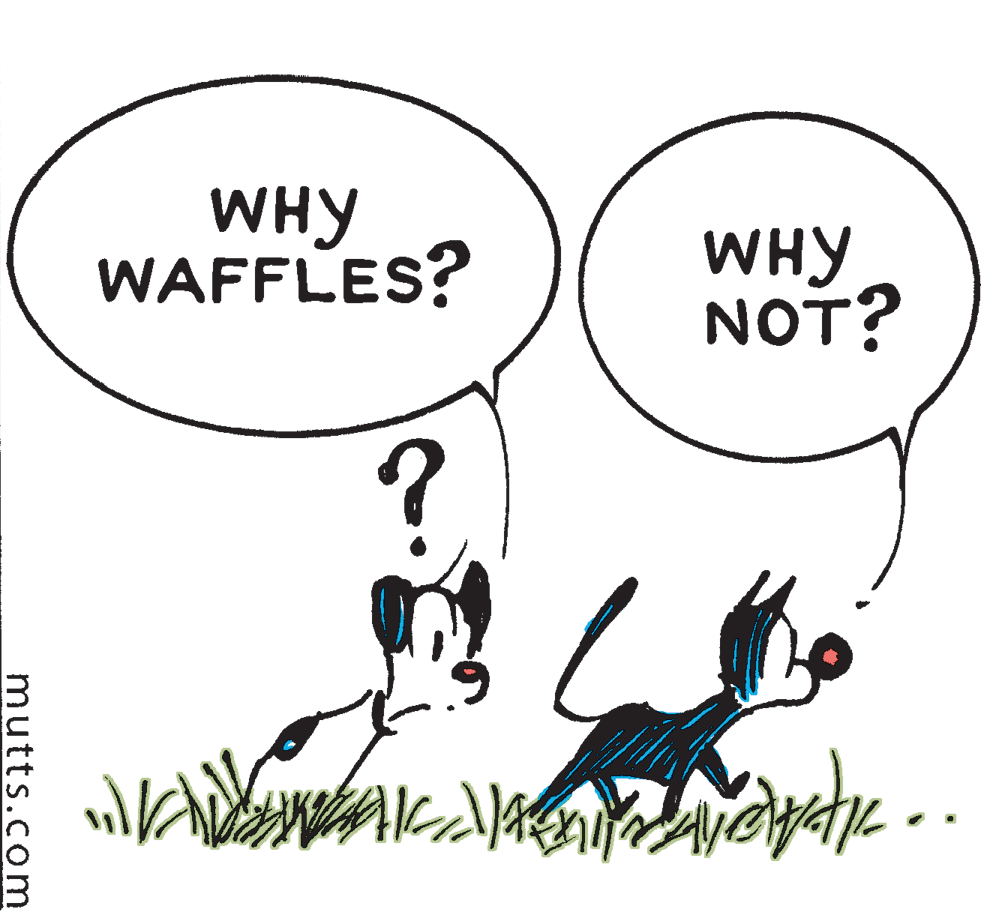 Slope OCR: WHY WAFFLES? WHY NOT? ?. mutts.com WHY WAFFLES? WHY NOT? ?. mutts.com