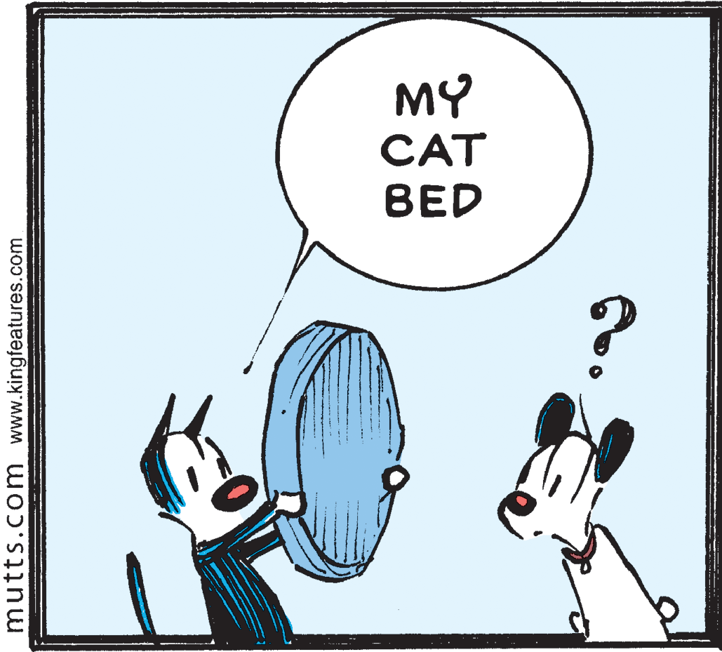 Mammal OCR: MY CAT ?ED mutts.com www.kingfeatures.com MY CAT ?ED mutts.com www.kingfeatures.com