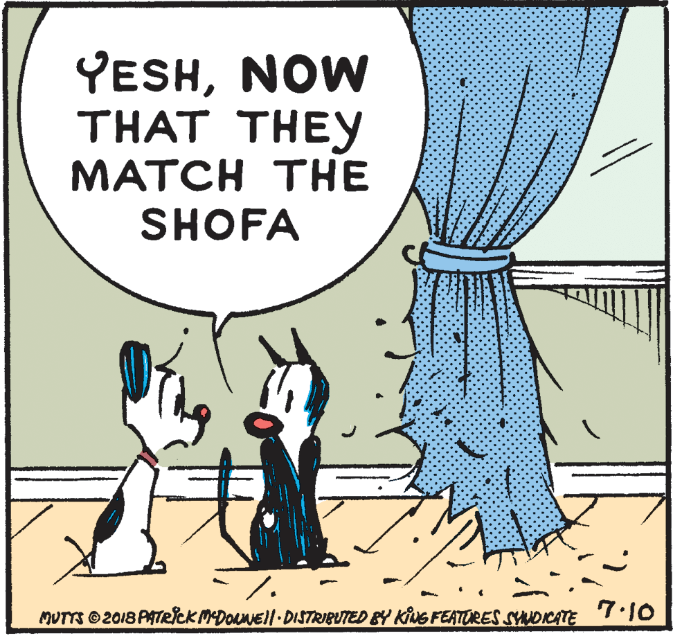 Adaptation OCR: YESHNOW THAT THEY MATCH THE SHOFA MUTTS ©2018 PATecKMDOLNEll DISTRIBUTED BY KING FEATORES SNDICATE 7.10 YESHNOW THAT THEY MATCH THE SHOFA MUTTS ©2018 PATecKMDOLNEll DISTRIBUTED BY KING FEATORES SNDICATE 7.10