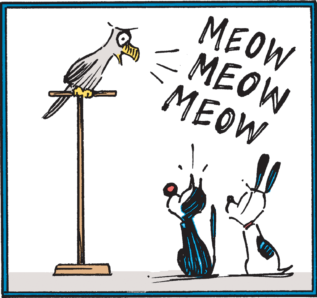 Illustration OCR: MEOW MEOW MEOW MEOW MEOW MEOW