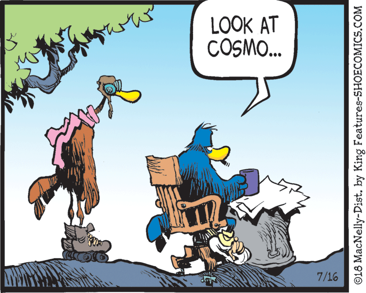 Humour OCR: LOOK AT COSMO.. 7/16 ©18 MacNelly-Dist. by King Features-SHOECOMICS.COM LOOK AT COSMO.. 7/16 ©18 MacNelly-Dist. by King Features-SHOECOMICS.COM
