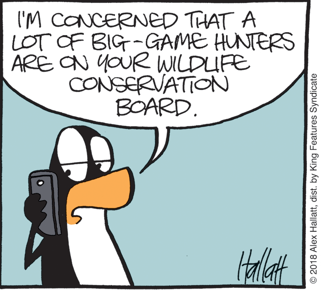 Humour OCR: I'M CONCERNED THAT A LOT OF BIG-GAME HUNTERS ARE ON YOUR WILDUFE CONSERVATION BOARD. © 2018 Alex Hallattdist. by King Features Syndicate I'M CONCERNED THAT A LOT OF BIG-GAME HUNTERS ARE ON YOUR WILDUFE CONSERVATION BOARD. © 2018 Alex Hallattdist. by King Features Syndicate