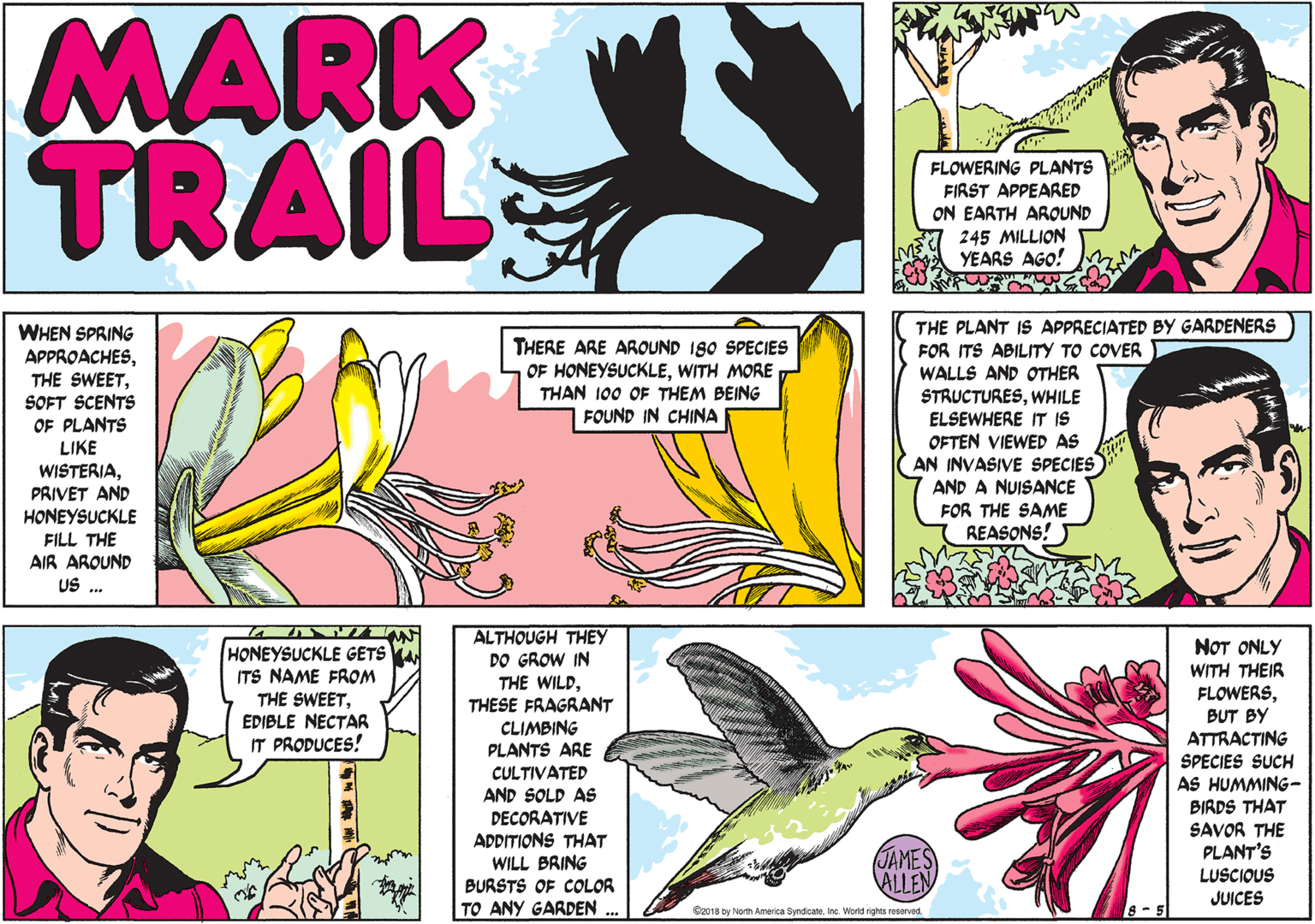 Sharing OCR: MARK TRAIL FLOWERING PLANTS FIRST APPEARED ON EARTH ARQUND 245 MILLION YEARS AGO! THE PLANT IS APPRECIATED BY GARDENERS FOR ITS ABILITY TO COVER WALLS AND OTHER STRUCTURESWHILE ELSEWHERE IT IS OFTEN VIEWED AS AN INVASIVE SPECIES WHEN SPRING THERE ARE AROUND I80 SPECIES OF HONEYSUCKLEWITH MORE THAN 100 OF THEM BEING FOUND IN CHINA APPROACHESSOFT SCENTS OF PLANTS LIKE WISTERIAPRIVET AND HONEYSUCKLE AND A NUISANCE FOR THE SAME REASONS! FILL THE AIR AROUND US .. ALTHOUGH THEY DO GROW IN THE WILDTHESE FRAGRANT CLIMBING PLANTS ARE CULTIVATED AND SOLD AS DECORATIVE ADDITIONS THAT WILL BRING BURSTS OF COLOR TO ANY GARDEN NOT ONLY WITH THEIR FLOWERSBUT BY ATTRACTING SPECIES SUCH AS HUMMING- HONEYSUCKLE GETS ITS NAME FROM THE SWEETEDIBLE NECTAR IT PRODUCES! BIRDS THAT SAVOR THE PLANT'S JAMES ALLEN LUSCIOUS JUICES Con18 by North America SyndicateInc. World rights reserved. 8-5 MARK TRAIL FLOWERING PLANTS FIRST APPEARED ON EARTH ARQUND 245 MILLION YEARS AGO! THE PLANT IS APPRECIATED BY GARDENERS FOR ITS ABILITY TO COVER WALLS AND OTHER STRUCTURESWHILE ELSEWHERE IT IS OFTEN VIEWED AS AN INVASIVE SPECIES WHEN SPRING THERE ARE AROUND I80 SPECIES OF HONEYSUCKLEWITH MORE THAN 100 OF THEM BEING FOUND IN CHINA APPROACHESTHE SWEETSOFT SCENTS OF PLANTS LIKE WISTERIAPRIVET AND HONEYSUCKLE AND A NUISANCE FOR THE SAME REASONS! FILL THE AIR AROUND US .. ALTHOUGH THEY DO GROW IN THE WILDTHESE FRAGRANT CLIMBING PLANTS ARE CULTIVATED AND SOLD AS DECORATIVE ADDITIONS THAT WILL BRING BURSTS OF COLOR TO ANY GARDEN NOT ONLY WITH THEIR FLOWERSBUT BY ATTRACTING SPECIES SUCH AS HUMMING- HONEYSUCKLE GETS ITS NAME FROM THE SWEETEDIBLE NECTAR IT PRODUCES! BIRDS THAT SAVOR THE PLANT'S JAMES ALLEN LUSCIOUS JUICES Con18 by North America SyndicateInc. World rights reserved. 8-5