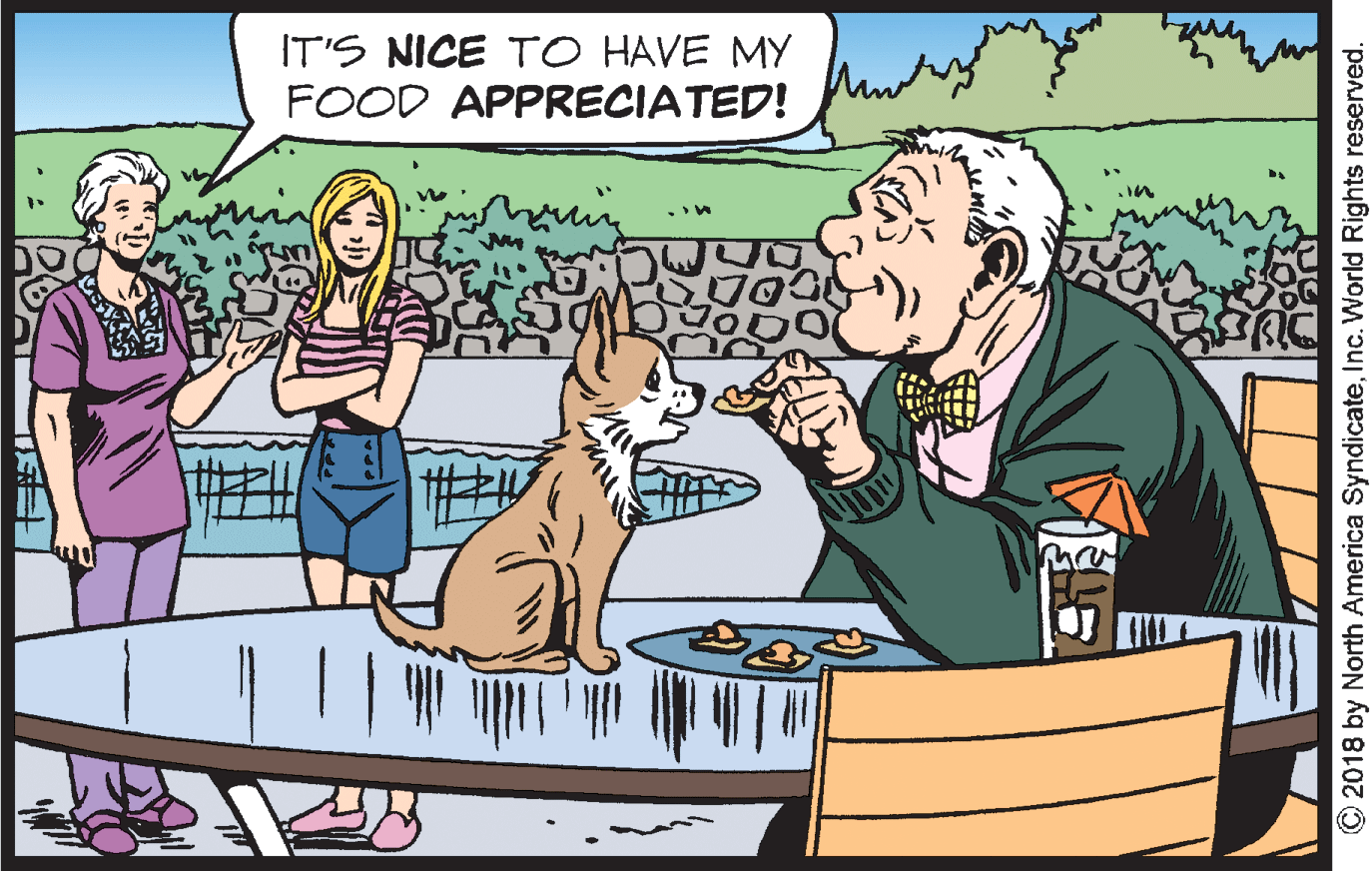 Dog OCR: IT'S NICE TO HAVE MY FOOD APPRECIATED! © 2018 by North America SyndicateInc. World Rights reserved. IT'S NICE TO HAVE MY FOOD APPRECIATED! © 2018 by North America SyndicateInc. World Rights reserved.