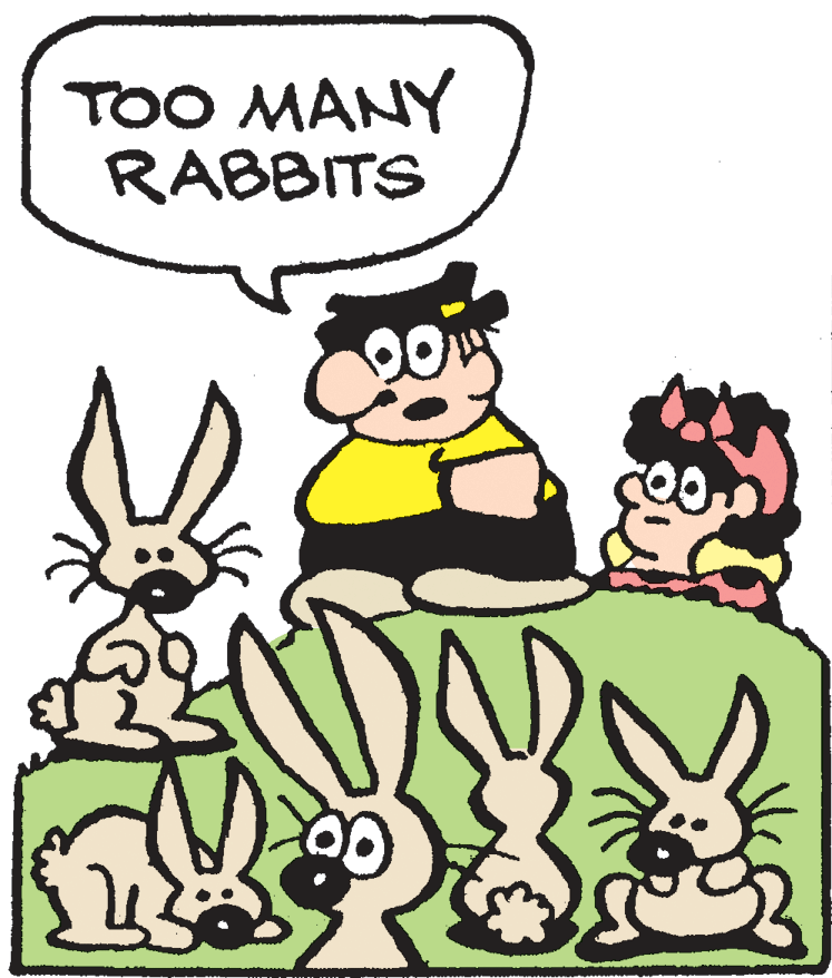 Domestic rabbit OCR: TOO MANY RABBITS TOO MANY RABBITS
