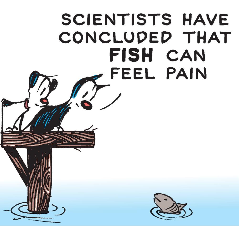 Terrestrial animal OCR: SCIENTISTS HAVE CONCLUDED THAT FISH CAN FEEL PAIN SCIENTISTS HAVE CONCLUDED THAT FISH CAN FEEL PAIN