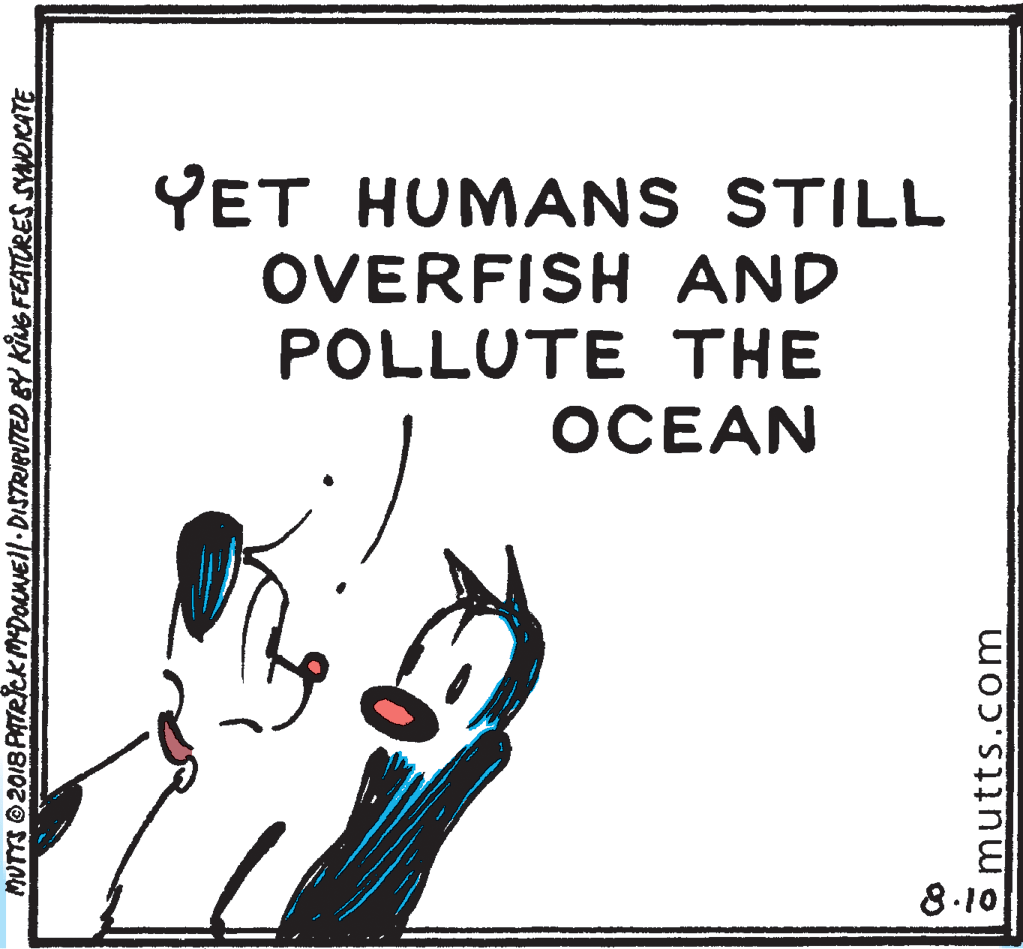 Knee OCR: YET HUMANS STILL OVERFISH AND POLLUTE THE OCEAN 8.10 MUTTS 2018 PATRiCKMDOuNEll DISTRIBUTED BY KNG FEATURES SYDKATE 5mutts.com YET HUMANS STILL OVERFISH AND POLLUTE THE OCEAN 8.10 MUTTS 2018 PATRiCKMDOuNEll DISTRIBUTED BY KNG FEATURES SYDKATE 5mutts.com