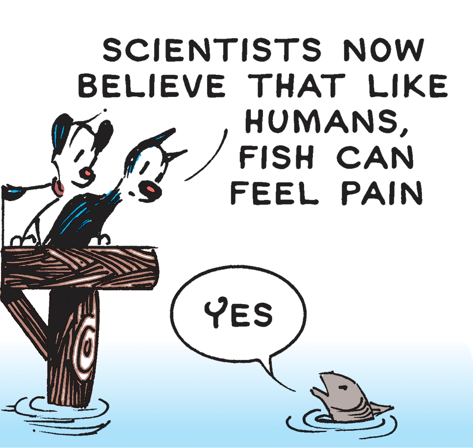 Drawing OCR: SCIENTISTS NOW BELIEVE THAT LIKE HUMANSFISH CAN FEEL PAIN YES SCIENTISTS NOW BELIEVE THAT LIKE HUMANSFISH CAN FEEL PAIN YES