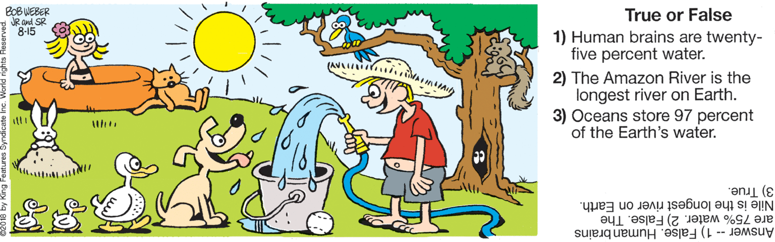 Organism OCR: BOB WEBER JR and SR 8-15 True or False 1) Human brains are twenty- five percent water. 2) The Amazon River is the longest river on Earth. 3) Oceans store 97 percent of the Earth's water. 3) True. Nile is the longest river on Earth. are 75% water. 2) False. The Answer-- 1) False. Human brains BOB WEBER JR and SR 8-15 True or False 1) Human brains are twenty- five percent water. 2) The Amazon River is the longest river on Earth. 3) Oceans store 97 percent of the Earth's water. 3) True. Nile is the longest river on Earth. are 75% water. 2) False. The Answer-- 1) False. Human brains