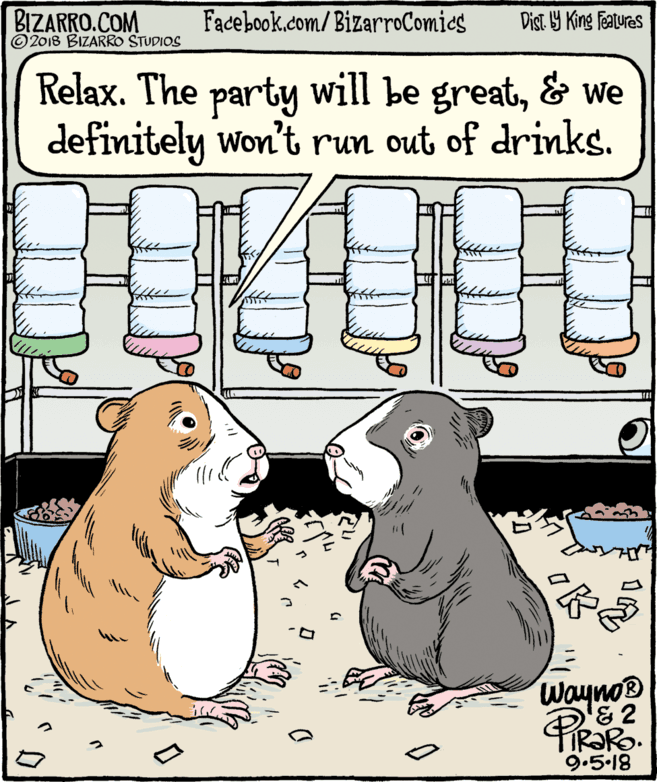 Tail OCR: BIZARRO.COM © 2018 BIZARRO STUDIOS Facebook.com/BizarroComics Dist Y King Fatures Relax. The party will be great& we definitely won't run out of drinks. Wayno® 9.5.18 BIZARRO.COM © 2018 BIZARRO STUDIOS Facebook.com/BizarroComics Dist Y King Fatures Relax. The party will be great& we definitely won't run out of drinks. Wayno® 9.5.18