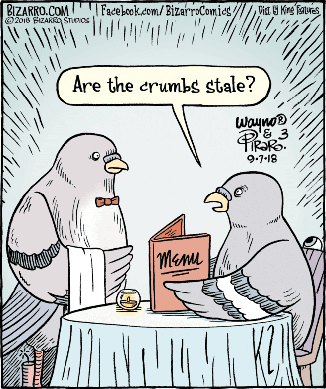 Fiction OCR: BIZARRO.COM © 2018 BIZARRO STUDIOS Facebook.com/BizarroComics Dist Y King Featuras Are the crumbs stale? Wayno® PiRako 9.7-18 Menu BIZARRO.COM © 2018 BIZARRO STUDIOS Facebook.com/BizarroComics Dist Y King Featuras Are the crumbs stale? Wayno® PiRako 9.7-18 Menu