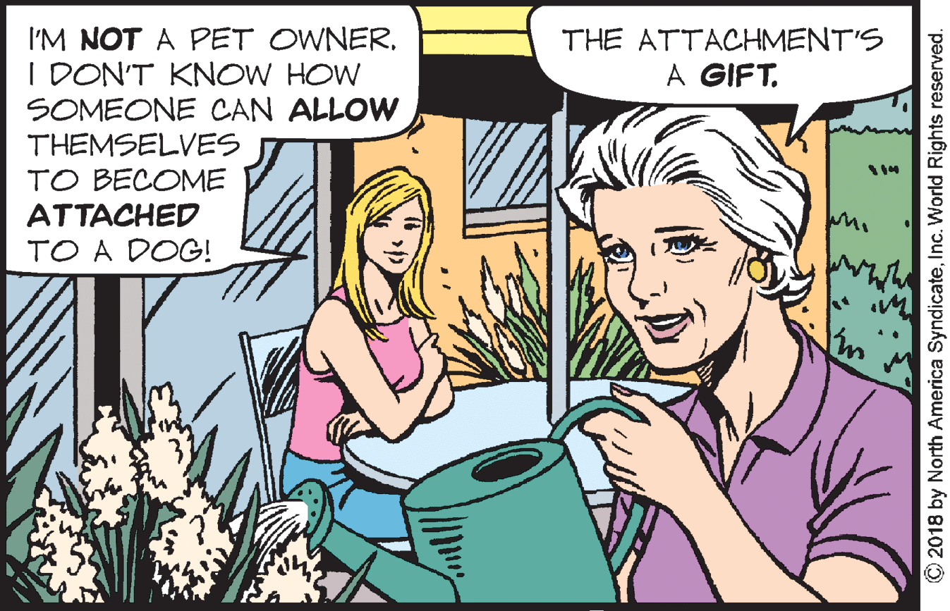 Sharing OCR: I'M NOT A PET OWNER. THE ATTACHMENT'S I DON'T KNOW HOW SOMEONE CAN ALLOW A GIFT. THEMSELVES TO BECOME ATTACHED wn TO A DOG! ©2018 by North America SyndicateInc. World Rights reserved. I'M NOT A PET OWNER. THE ATTACHMENT'S I DON'T KNOW HOW SOMEONE CAN ALLOW A GIFT. THEMSELVES TO BECOME ATTACHED wn TO A DOG! ©2018 by North America SyndicateInc. World Rights reserved.