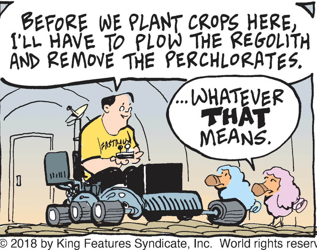 People OCR: BEFORE WE PLANT CROPS HEREI'LL HAVE TO PLOW THE REGOLITH AND REMOVÉ THE PERCHLORATES. ..WHATEVER THAT MEANS. ASTIM O 2018 by King Features SyndicateInc. World rights reserv BEFORE WE PLANT CROPS HEREI'LL HAVE TO PLOW THE REGOLITH AND REMOVÉ THE PERCHLORATES. ..WHATEVER THAT MEANS. ASTIM O 2018 by King Features SyndicateInc. World rights reserv