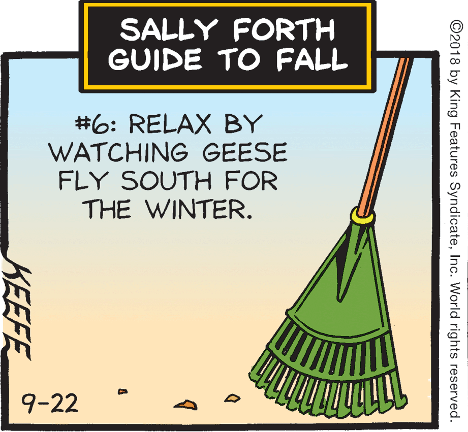 Poster OCR: SALLY FORTH GUIDE TO FALL #6: RELAX BY WATCHING GEESE FLY SOUTH FOR THE WINTER. 9-22 ©2018 by King Features SyndicateInc. World rights reserved. KEEFE SALLY FORTH GUIDE TO FALL #6: RELAX BY WATCHING GEESE FLY SOUTH FOR THE WINTER. 9-22 ©2018 by King Features SyndicateInc. World rights reserved. KEEFE