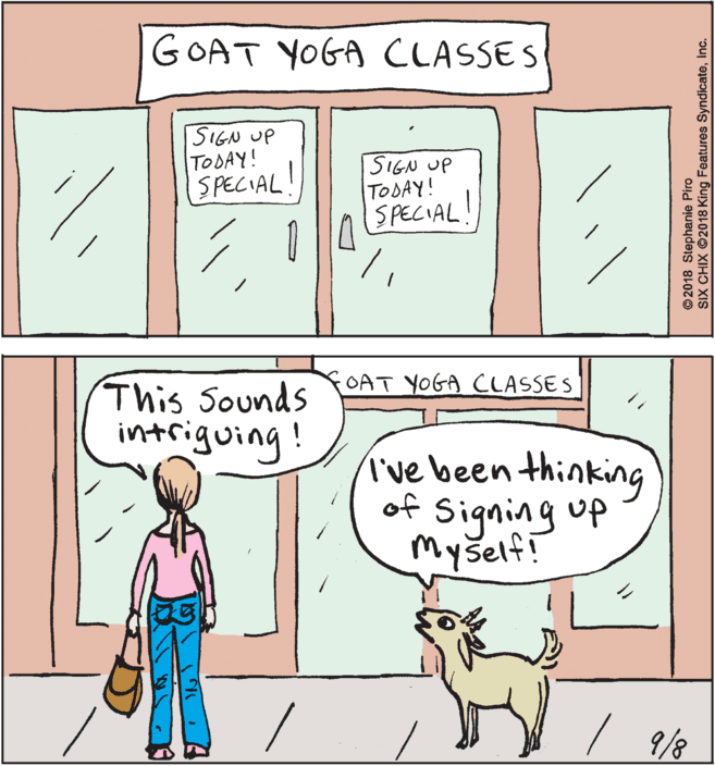 Dog OCR: GOAT YOGA CLASSES SIGN UP TODAY! SPECIAL SIGN UP TODAY! SPECIAL! FOAT YOGA CLASSES This Sounds intriguing! ive been thinking of Signing up Myšelf! / 9/8 ©2018 Stephanie Piro SIX CHIX ©2018 King Features SyndicateInc. GOAT YOGA CLASSES SIGN UP TODAY! SPECIAL SIGN UP TODAY! SPECIAL! FOAT YOGA CLASSES This Sounds intriguing! ive been thinking of Signing up Myšelf! / 9/8 ©2018 Stephanie Piro SIX CHIX ©2018 King Features Syndicate