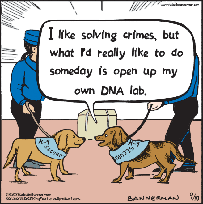 Dog OCR: www.isabellabannerman.com I like solving crimesbut what 'd really like to do someday is opeh up my own DNA lab. SECURITY 9/0 BANNERMAN ©2018 IsabellaBannerman SIXCHIX©2018 KingFeaturesSyndicatenc. www.isabellabannerman.com I like solving crimesbut what 'd really like to do someday is opeh up my own DNA lab. SECURITY 9/0 BANNERMAN ©2018 IsabellaBannerman SIXCHIX©2018 KingFeaturesSyndicatenc.