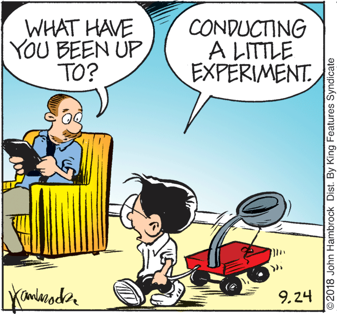 Motor vehicle OCR: WHAT HAVE YOU BEEN UP TO? CONDUCTING A LITTLE EXPERIMENT. 9.24 ©2018 John Hambrock Dist. By King Features Syndicate WHAT HAVE YOU BEEN UP TO? CONDUCTING A LITTLE EXPERIMENT. 9.24 ©2018 John Hambrock Dist. By King Features Syndicate