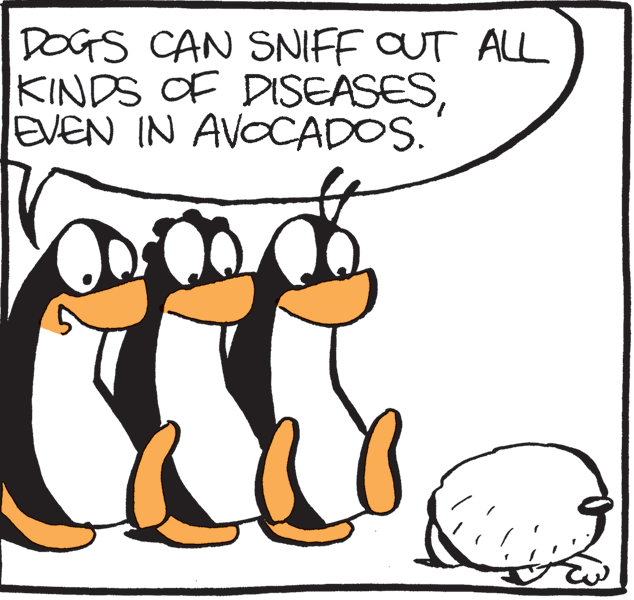 Peach OCR: DOGS CAN SNIFF OUT ALL KINDS OF DISEASESEVEN IN AVOCADOS. DOGS CAN SNIFF OUT ALL KINDS OF DISEASESEVEN IN AVOCADOS.