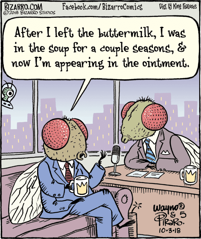 Graphics OCR: BIZARRO.COM © 2018 BIZARRO STUDIOS Facebook.com/BizarroComics Dist Y King Features After I left the buttermilkI was in the soup for a couple seasons& now I'm appearing in the ointment. M Wayno® '& 5 IR?R. 10.3-18 PiROR BIZARRO.COM © 2018 BIZARRO STUDIOS Facebook.com/BizarroComics Dist Y King Features After I left the buttermilkI was in the soup for a couple seasons& now I'm appearing in the ointment. M Wayno® '& 5 IR?R. 10.3-18 PiROR