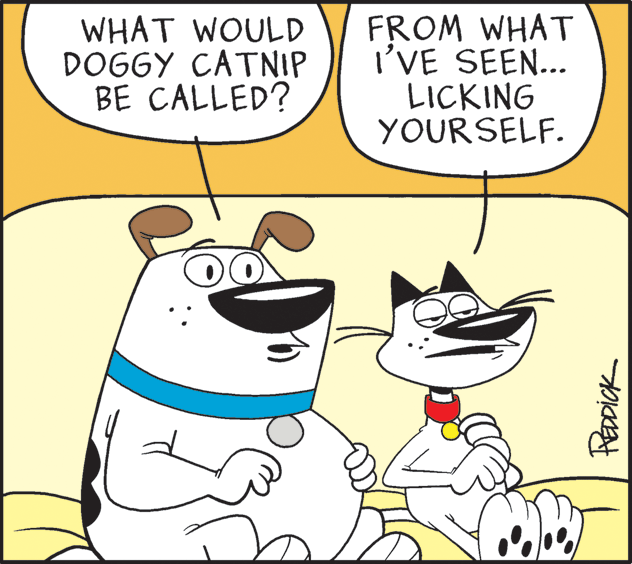 Happy OCR: WHAT WOULD DOGGY CATNIP BE CALLED? FROM WHAT I'VE SEEN... LICKING YOURSELF. WHAT WOULD DOGGY CATNIP BE CALLED? FROM WHAT I'VE SEEN... LICKING YOURSELF.