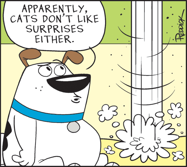 Rectangle OCR: APPARENTLYCATS DON'T LIKE SURPRISES EITHER. APPARENTLYCATS DON'T LIKE SURPRISES EITHER.