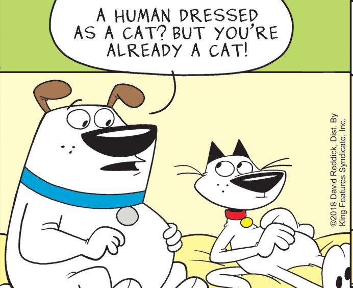 Font OCR: A HUMAN DRESSED AS A CAT? BUT YOU'RE ALREADY A CAT! ©2018 David ReddickDist. By King Features SyndicateInc. A HUMAN DRESSED AS A CAT? BUT YOU'RE ALREADY A CAT! ©2018 David ReddickDist. By King Features Syndicate