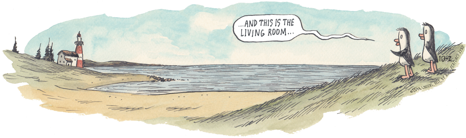 Slope OCR: .AND THIS IS THE LIVING ROOM... .AND THIS IS THE LIVING ROOM...