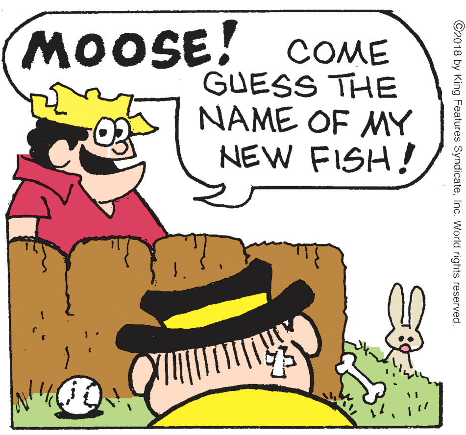 Mammal OCR: MOOSE! COME GUESS THE NAME OF MY NEW FISH! ©2018 by King Features SyndicateInc. World rights reserved. MOOSE! COME GUESS THE NAME OF MY NEW FISH! ©2018 by King Features SyndicateInc. World rights reserved.