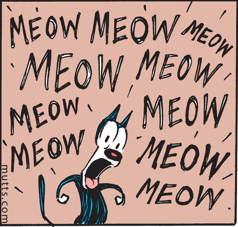 Drawing OCR: MEOW MEOW MEO MEOW MEOW MEOWA MEOW MEOW MEOW MEOW mutts.com MEOW MEOW MEO MEOW MEOW MEOWA MEOW MEOW MEOW MEOW mutts.com