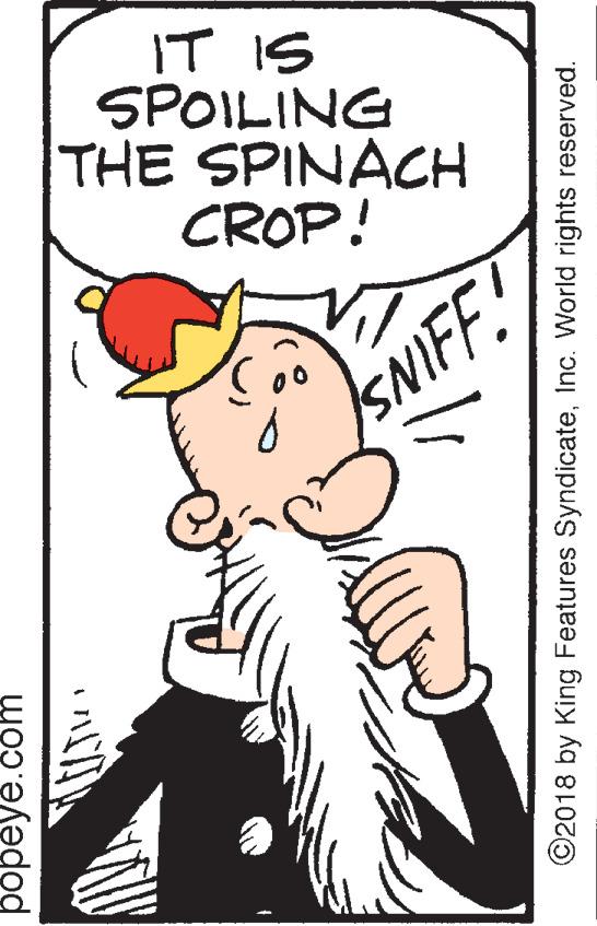 Thumb OCR: IT IS SPOILING THE SPINACH CROP! SNIFF.! popeye.com ©2018 by King Features SyndicateInc. World rights reserved. IT IS SPOILING THE SPINACH CROP! SNIFF.! popeye.com ©2018 by King Features SyndicateInc. World rights reserved.