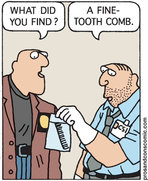 Pleased OCR: A FINE- ????H COMB. WHAT DID YOU FIND ? DCSI prosandconscomic.com A FINE- ????H COMB. WHAT DID YOU FIND ? DCSI prosandconscomic.com